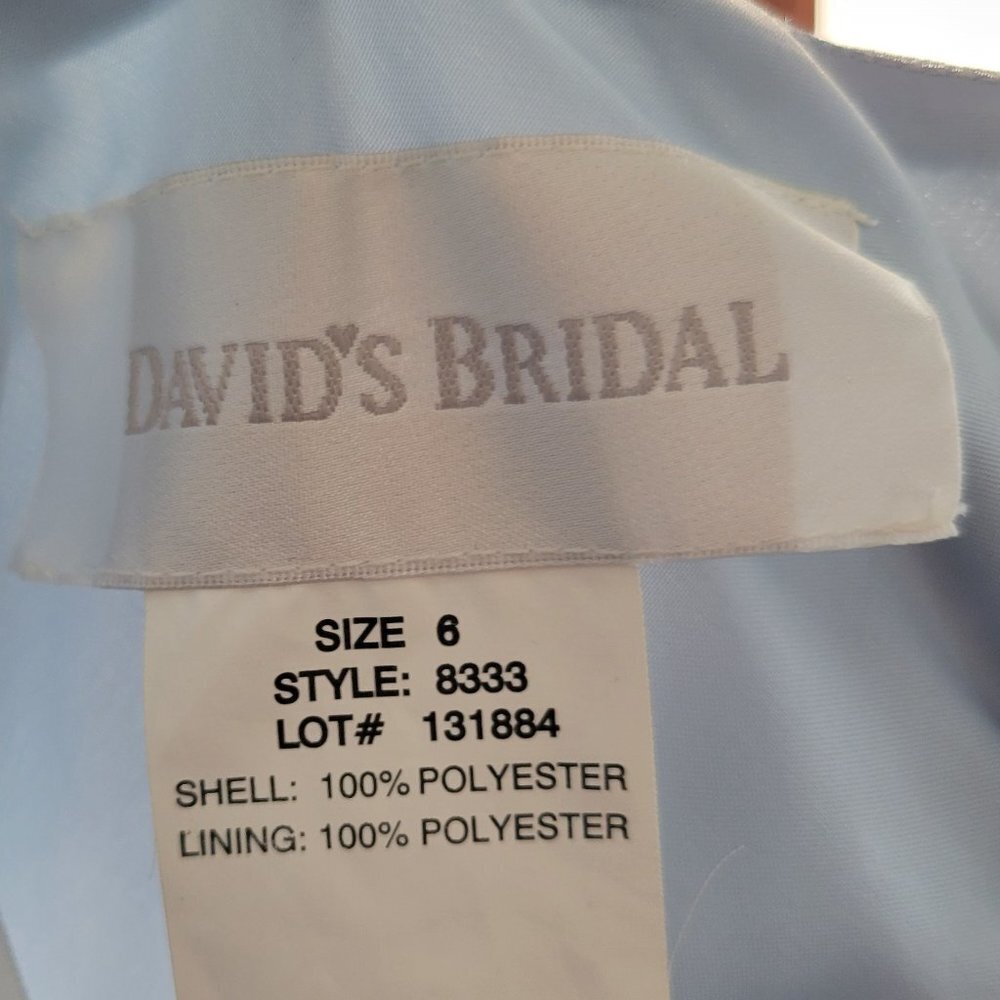 Long dress with with Matching Shawl from David's Bridal Size 6 - Picture 10 of 12